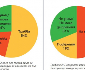 Анкета: 54% от българите искат референдум за приемането на еврото