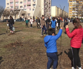 Деца, родители и учители засадиха своя мини гора (ВИДЕО)