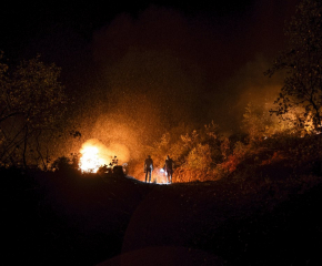 Два големи пожара в Сакар планина. Обявено е частично бедствено положение в общините Любимец и Харманли