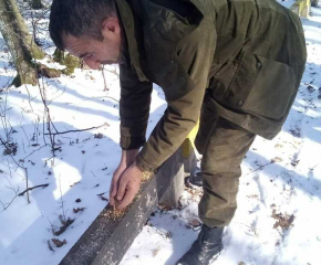 Хранилки за птици бяха поставени в Природен парк "Сините камъни" край Сливен