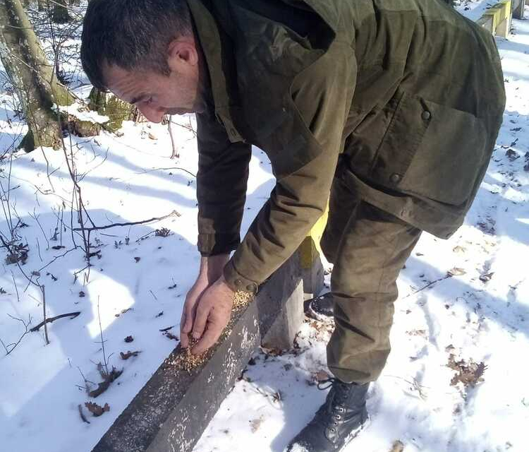 Служители на Дирекцията на Природен парк "Сините камъни" поставиха хранилки за птици по "Пътеката на здравето" в планината край Сливен. Това съобщиха от...