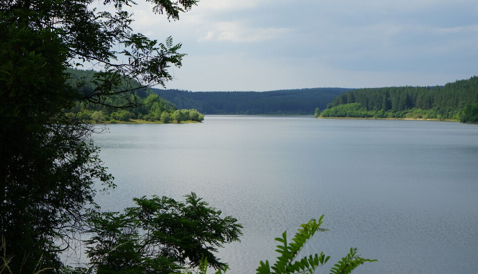 Министерството на околната среда водите призовава всички водоползватели да предприемат действия за пестене на водата и намаляване на загубите, съобщават...