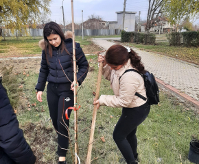 Над 120 вида дръвчета и храсти бяха засадени днес в Стралджа