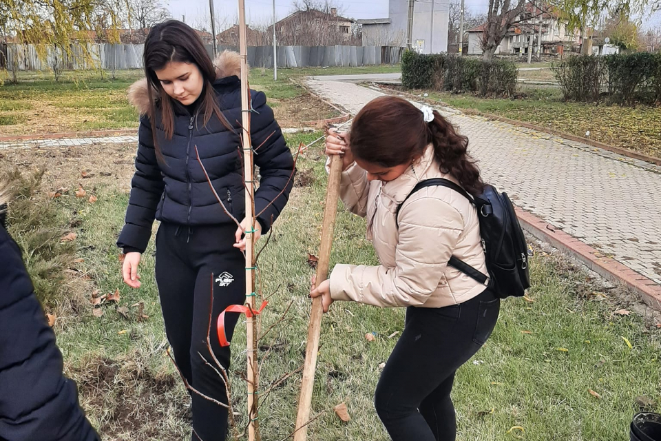 Над 120 вида дръвчета и храсти бяха засадени днес в град Стралджа в съвместна инициатива на община Стралджа, СУ"П.Яворов" и ОУ"Св.св Кирил и Методий".
Сред...