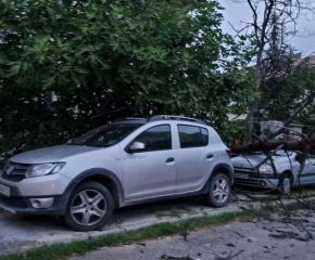 Над 150 сигнала за паднали от силния вятър дървета и опасни предметити от сил