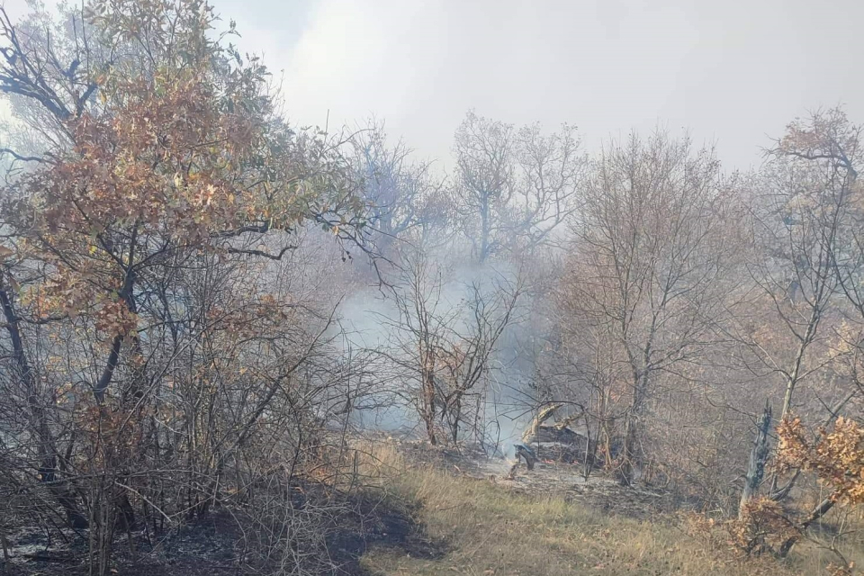 Не е овладян пожарът на полигона "Ново село" край Сливен, съобщи за БТА директорът на Регионалната дирекция „Пожарна безопасност и защита на населението"...