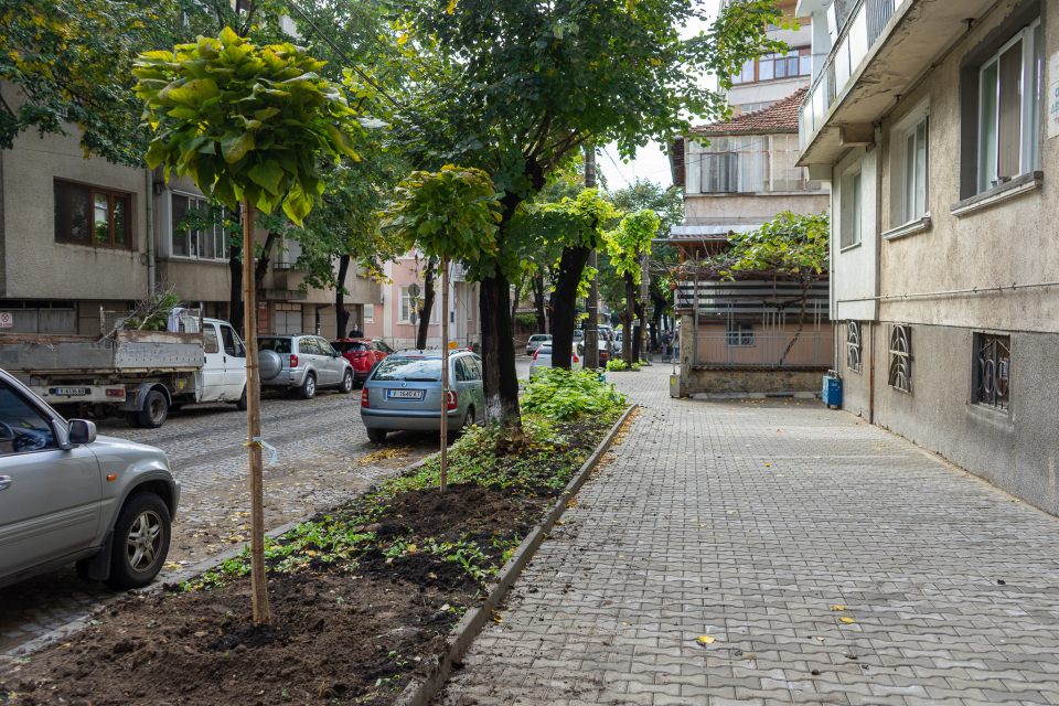 Започна засаждането на повече от сто нови дървета в обособени места в Ямбол, сред които ул. „Дружба“, ул. „Жорж Папазов“, ул. „Емине“, Градски парк, жилищен...