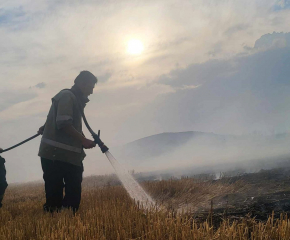 Огнеборци и жители на село Оризари гасиха пожар в нива край селото