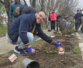 Около 700 рози бяха засадени в село Роза за последните десет дни