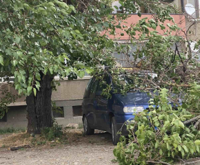 Отстраняват се пораженията от ураганния вятър и проливния дъжд