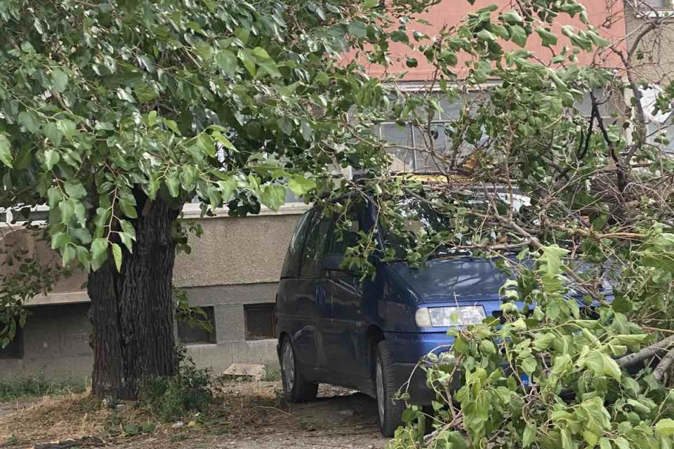 Ураганният вятър и проливният дъжд предизвикаха аварии, прекършиха дървета и клони. За щастие, има само материални щети. Няма сигнали за пострадали хора,...