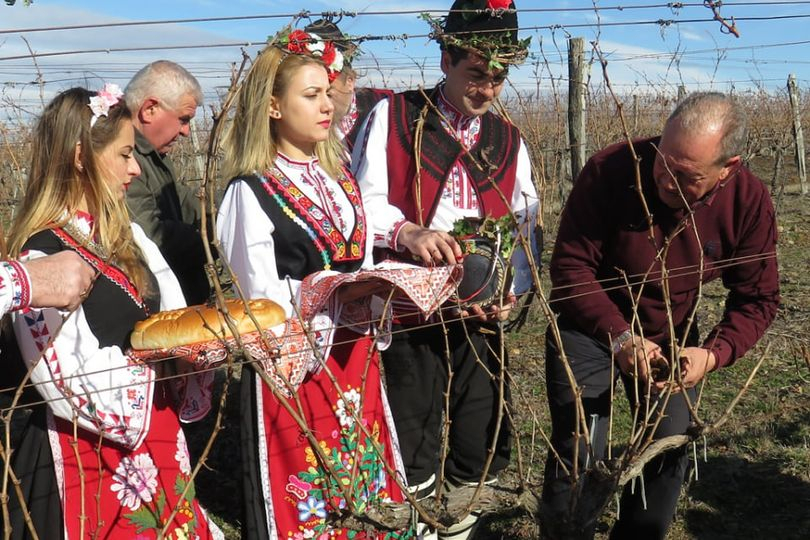  
Уважаеми жители на община Болярово,
уважаеми  винопроизводители и лозари,
на 14 февруари по древна българска традиция почитаме покровителя на лозарите...