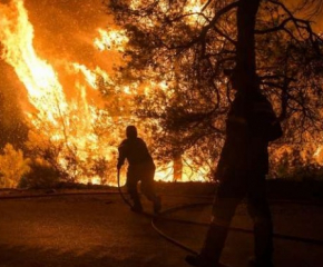 Пожар е вилнял в село Млекарево