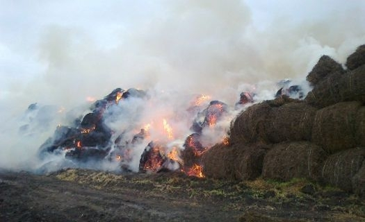 В боляровско вчера възникна сериозен пожар. В 16:44 часа на 3 юни в оперативния център при Регионалната дирекция за пожарна безопасност и защита на населението...