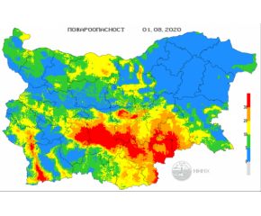 Пожарникари и доброволци спасиха от огнена стихия къщите във Воден