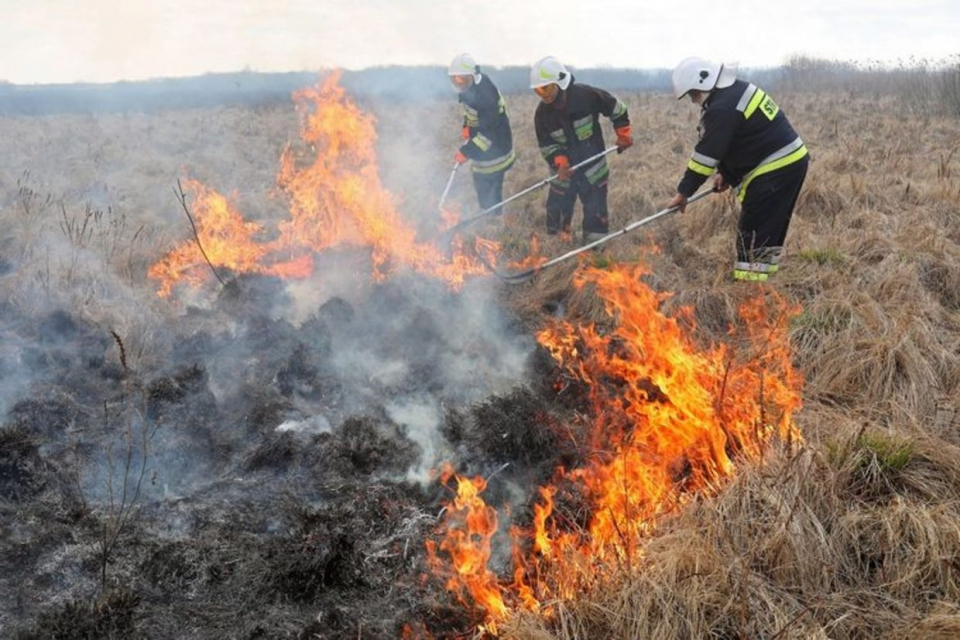 Пожарникари на РСПБЗН-Нова Загора са спасили 60 пчелни кошери при пожар във фургон, в землището на село Пет могили. Сигналът е получен на 6 октомври в...