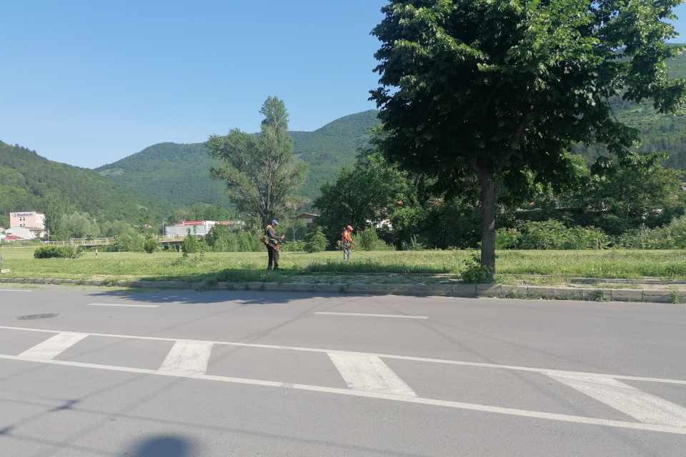 Предстои поредно косене на тревните площи в Сливен. Дейностите се извършват по график от общинското предприятие „Озеленяване и гробищни паркове“.
Косенето...