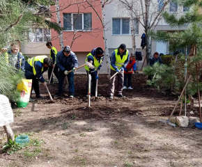 Продължава залесителната акция в различни части на Сливен