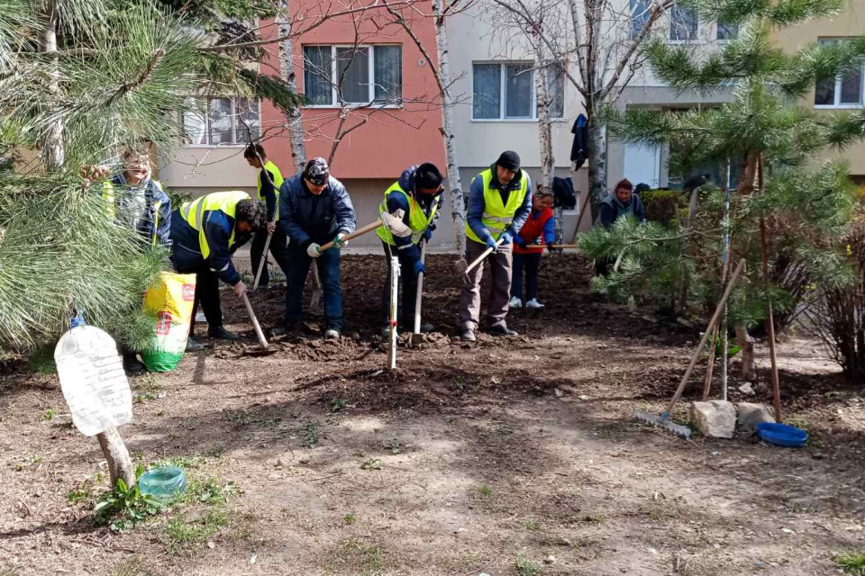 Общинското предприятие „Озеленяване“ продължава със залесяването с дръвчета в различни части на града. Включени са междублоковите пространства и зоните...