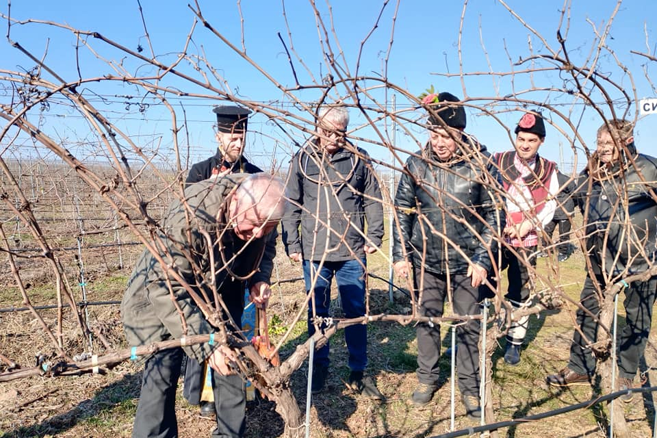 С ритуално зарязване на лозята днес в община Болярово отбелязаха Деня на лозаря и винарите - Трифон Зарезан. Общинският празник тази година се проведе...