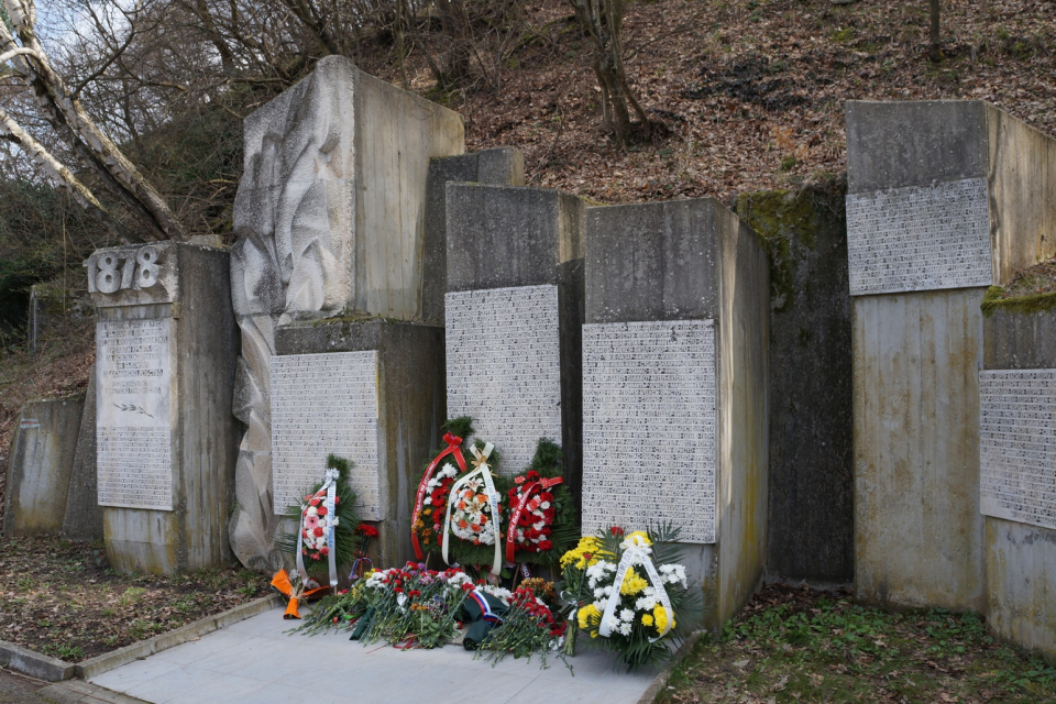 Тържествено честване на Националния празник на Република България и 144 години от Освобождението на България организира община „Тунджа“ в лесопарк „Бакаджик“.
...