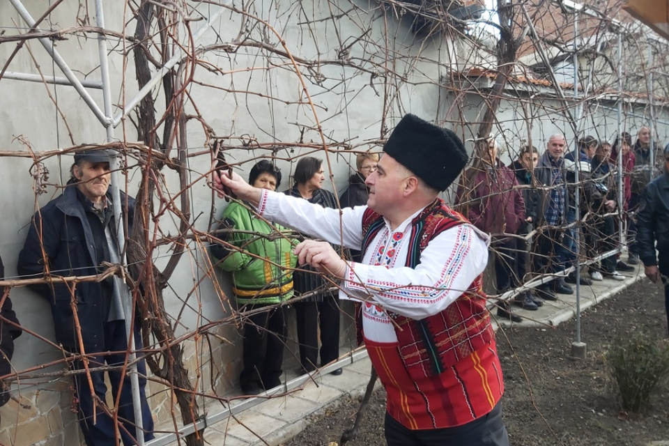 С изпълняване на ритуала за зарязване на лозите, вчера, 1 февруари 2020 г., ямболското читалище “Пробуда” организира отбелязването на празника на лозарите,...