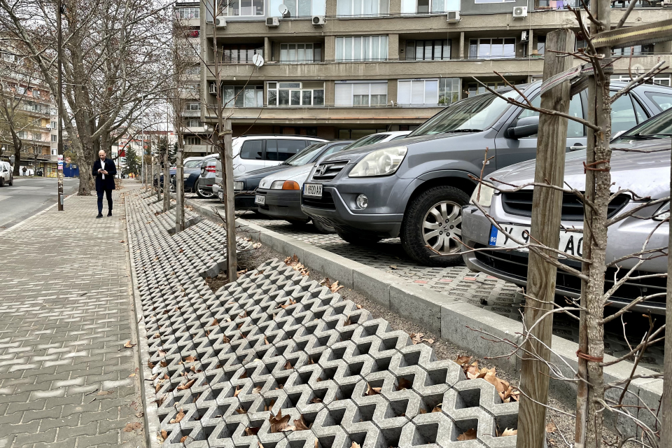 Залесителната кампания в Ямбол, чиято цел е създаване на нови зелени зони за отдих в градските квартали и обновяване на дървесните видове в града, продължава.
До...