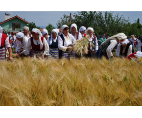 Жътвената кампания в община „Тунджа“ беше открита на Спасовден (Снимки)