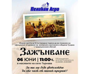 Жътвената кампания в Ямболско ще бъде открита на 6 юни с  народният обичай "зажънване"